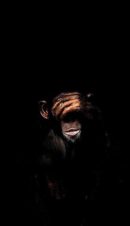 Abstract monkey spray painting on frameless canvas wall art modern decoration