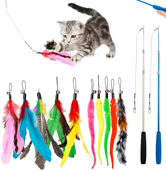 Two grey cat teaser wands with colourful feather attachments on a wooden floor