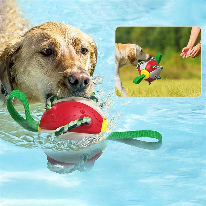 Transforming dog toy that can switch between a ball and frisbee shape, featuring durable construction and interactive play features