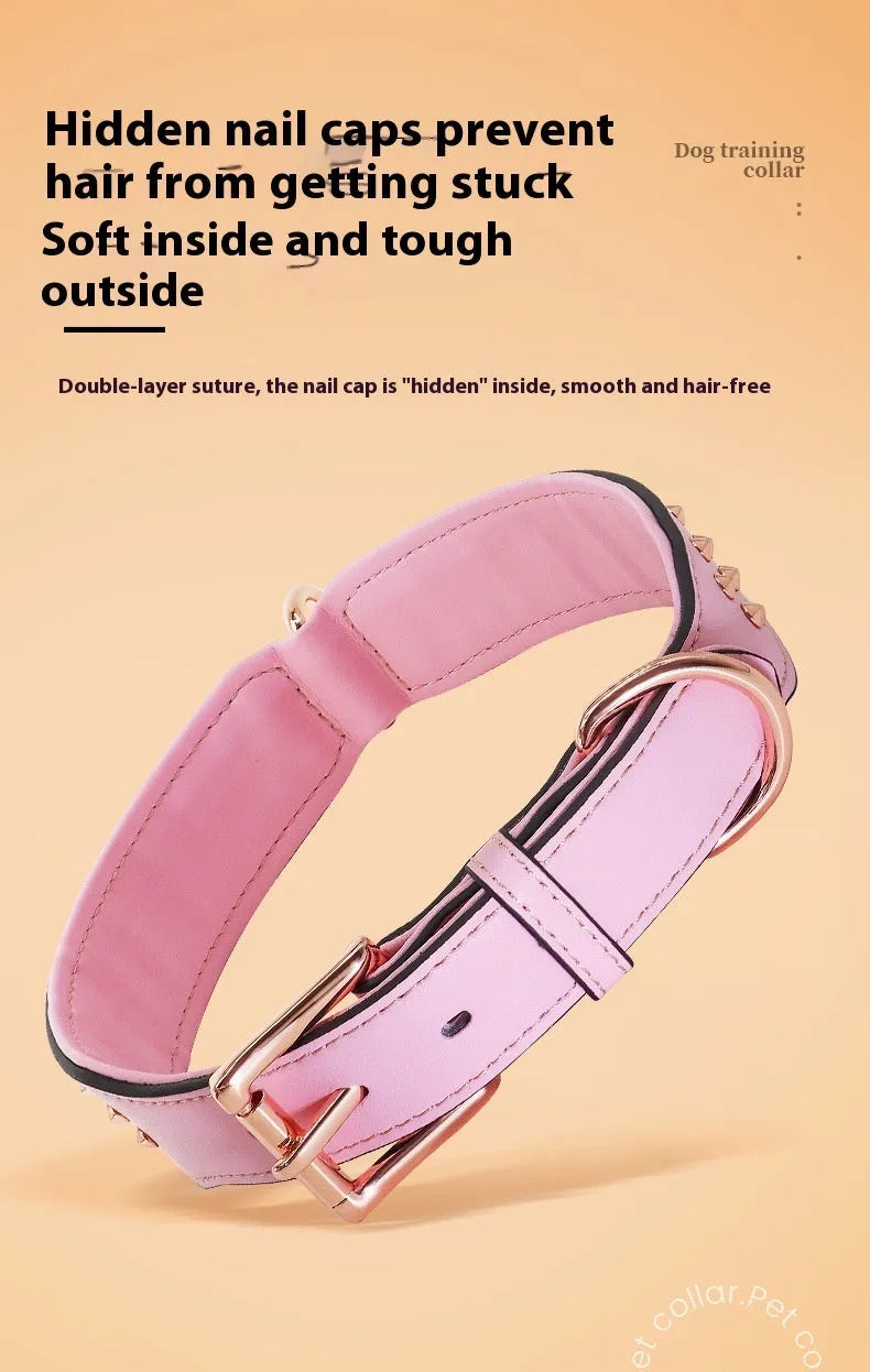Leather dog collar with metal rivets in chocolate colour, showing rivet spacing and buckle detail
