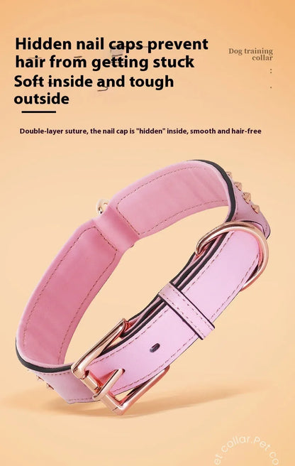 Leather dog collar with metal rivets in chocolate colour, showing rivet spacing and buckle detail