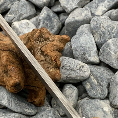 Outdoor Damascus steel short knife with Thuja wood handle showing 18cm length