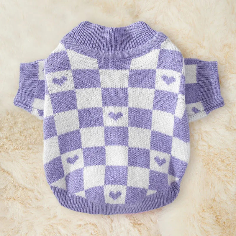 Small dog wearing a blue knitted polyester jumper for autumn and winter