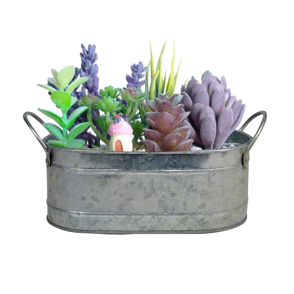 Iron sheet succulent flowerpot on desktop, 15cm diameter, corrosion-resistant and water-saving for indoor plants.