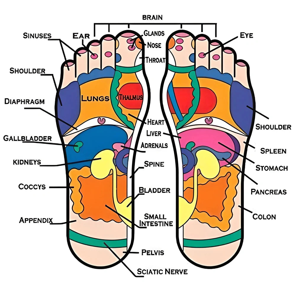 Acupressure Reflexology Massage Slippers with adjustable nodules for targeted foot massage and whole-body benefits