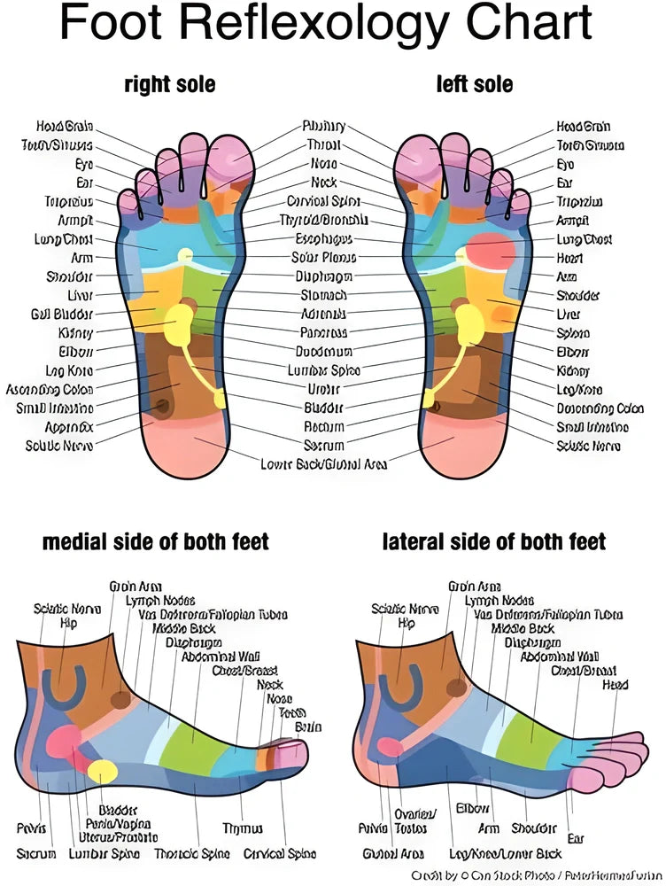 Acupressure Reflexology Socks with Massage Tools - Relieve Foot Pain and Promote Well-Being