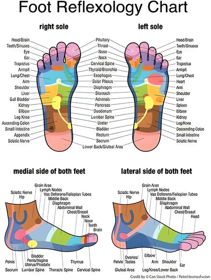 Acupressure Reflexology Socks with Massage Tools - Relieve Foot Pain and Promote Well-Being