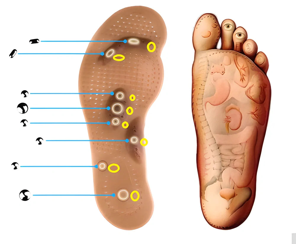 Acupressure Slimming Insoles with magnets and raised nodes for weight loss and foot pain relief