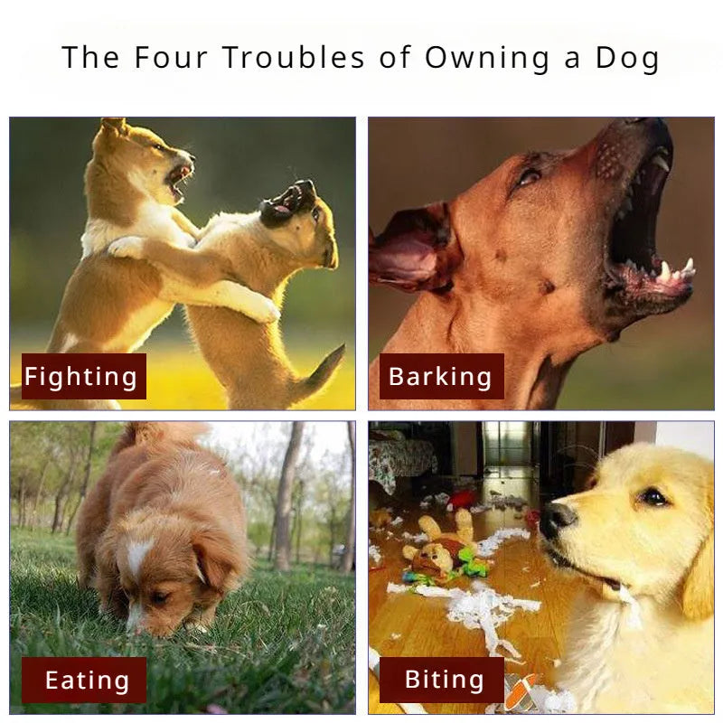 Black dog muzzle silencer for anti-barking and bite prevention on a medium-sized dog