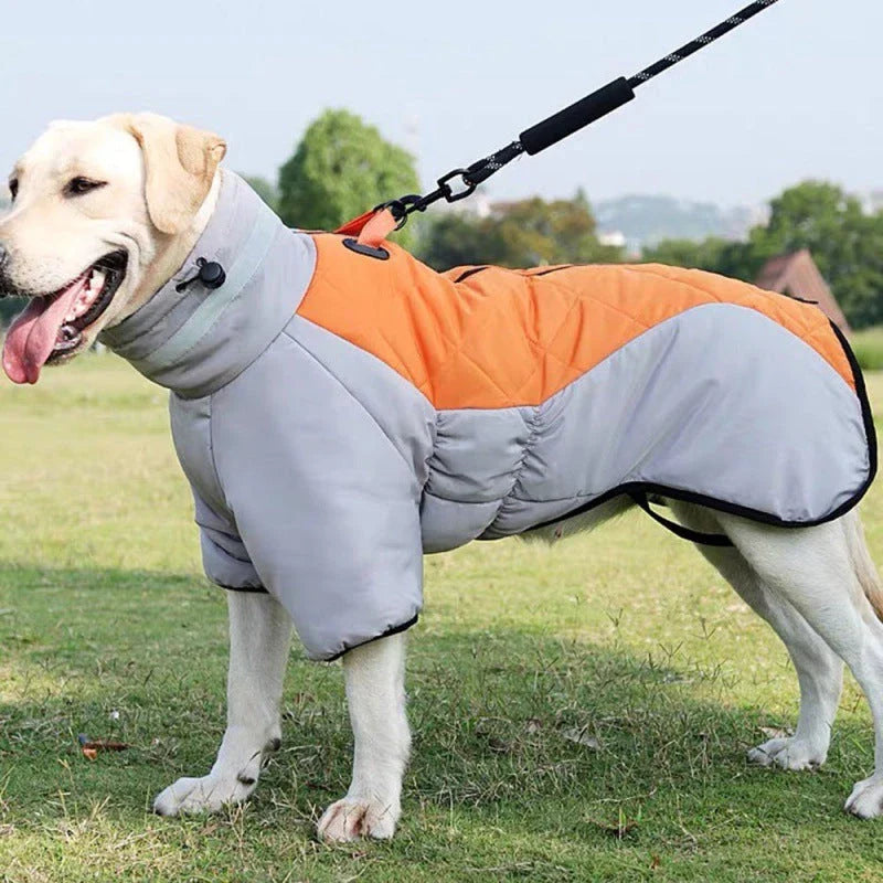 Waterproof dog coat with thick insulation and soft velvet lining, available in various color options
