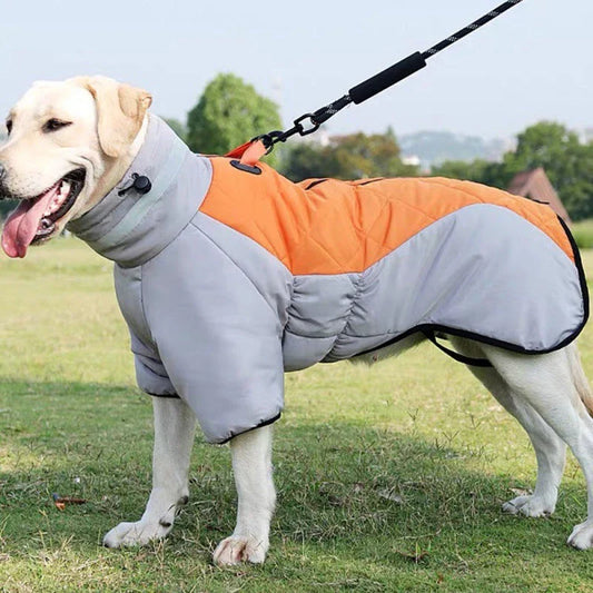 Waterproof dog coat with thick insulation and soft velvet lining, available in various color options
