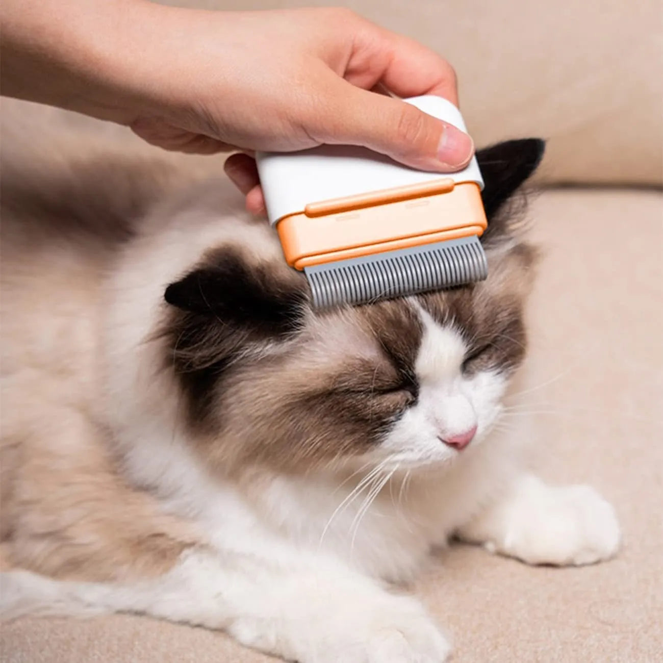 Blue double-sided pet grooming comb for cat and dog deshedding with portable design