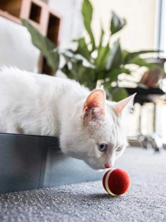 Interactive cat ball with silicone shell and USB charger for electronic pet entertainment