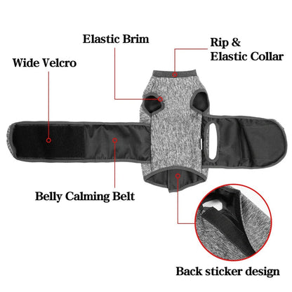 Dark grey double-layer cat clothing with European-American styling and sterilisation suit