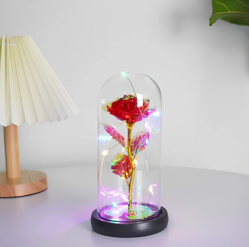 Little Prince rose arrangement under 20x9cm glass dome with gold foil flowers