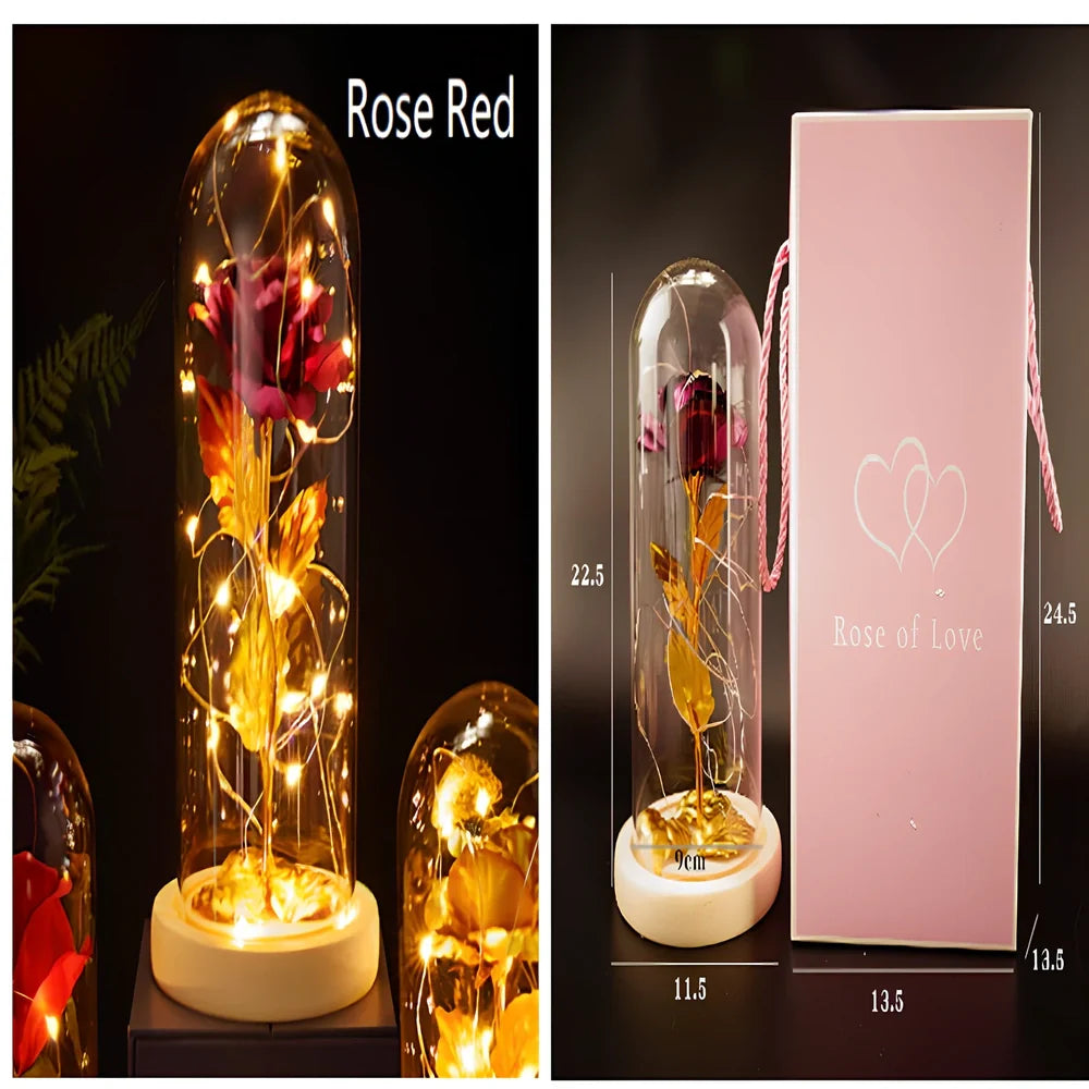 Little Prince rose arrangement under 20x9cm glass dome with gold foil flowers