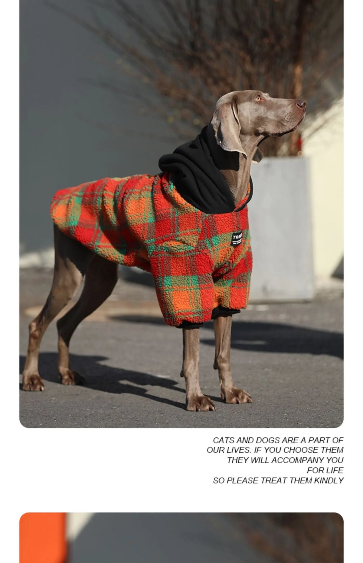 Thick warm large dog coat in orange grid or green stripe, sizes M-XXXL and No.7-12