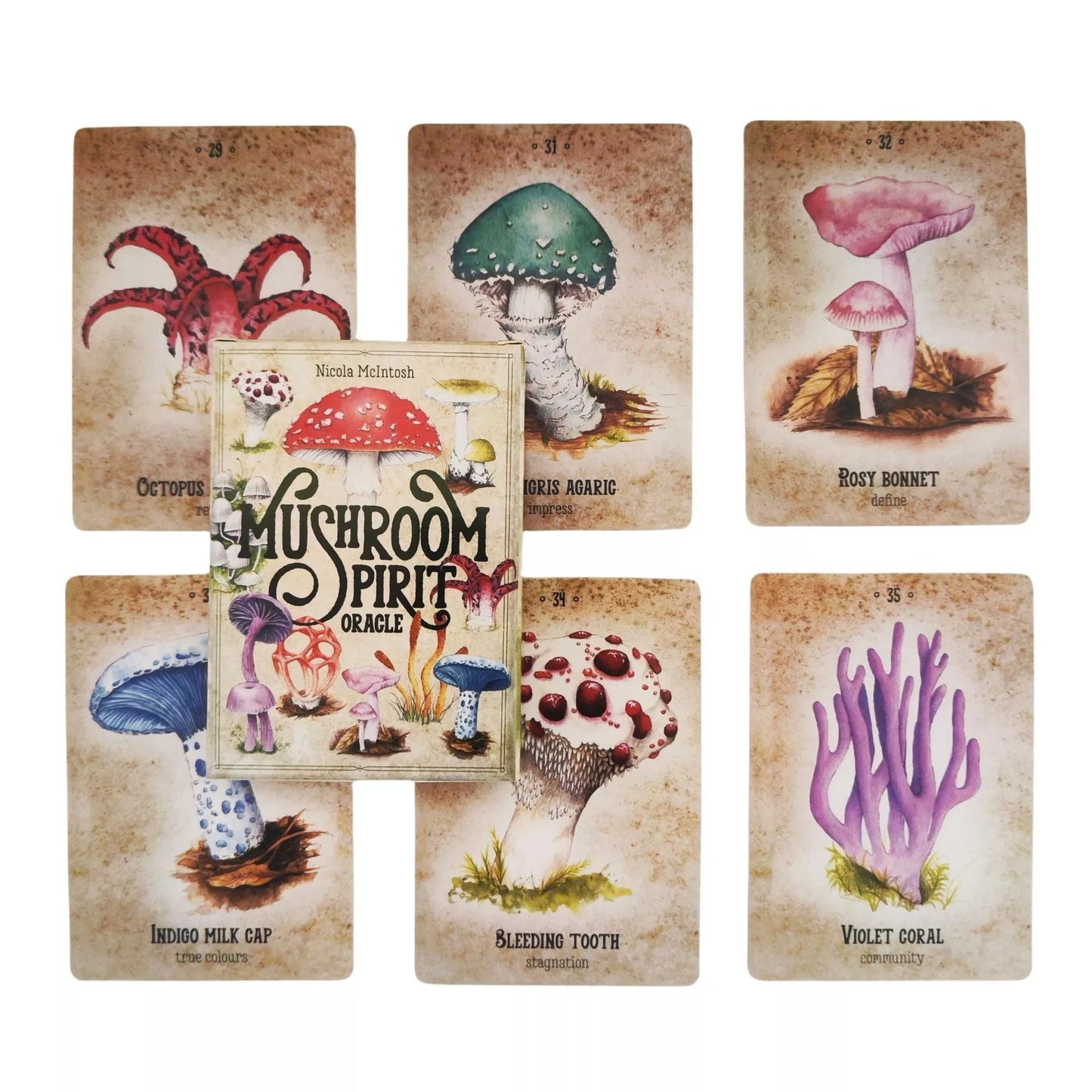 Mushroom Spirit Oracle Card Game for cognitive development and fun