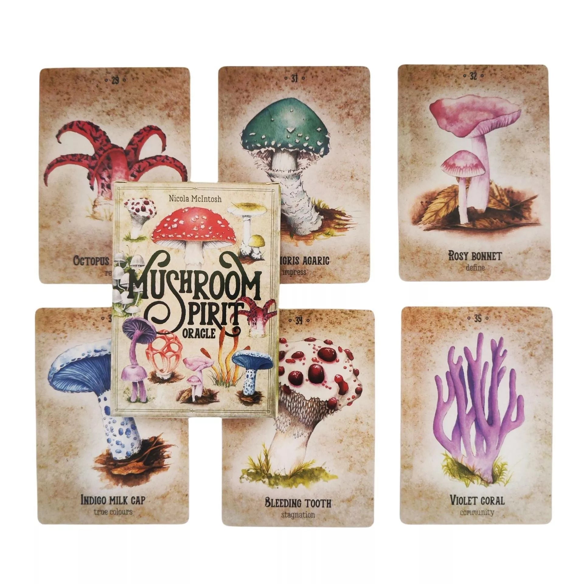 Mushroom Spirit Oracle Card Game for cognitive development and fun
