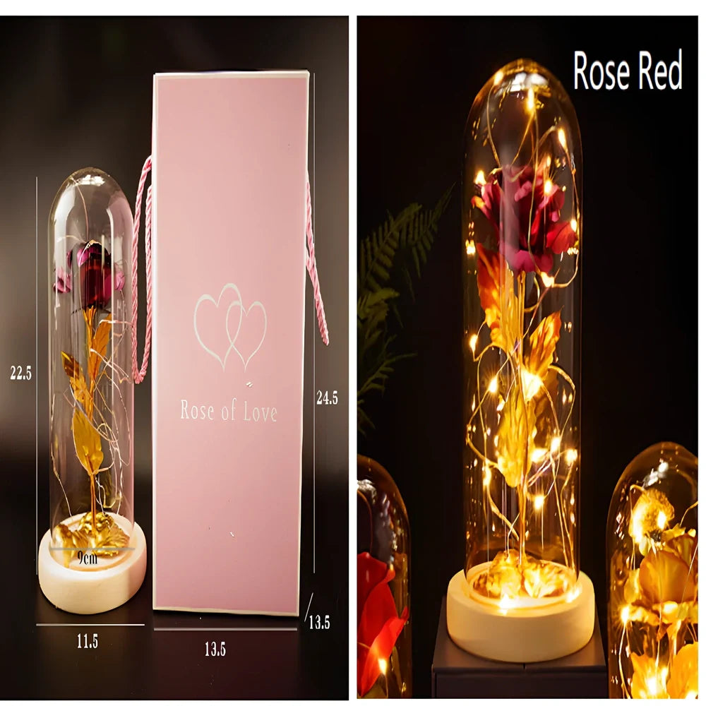 Little Prince rose arrangement under 20x9cm glass dome with gold foil flowers