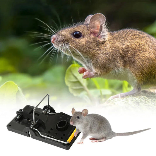 Highly effective reusable mouse traps with durable construction and responsive mechanism for reliable pest control in the home
