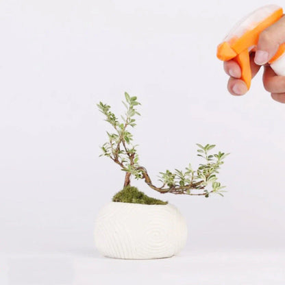 Magnetic levitation potted plant ornament floating bonsai at 15 mm in white stripes, plastic base with 12V power