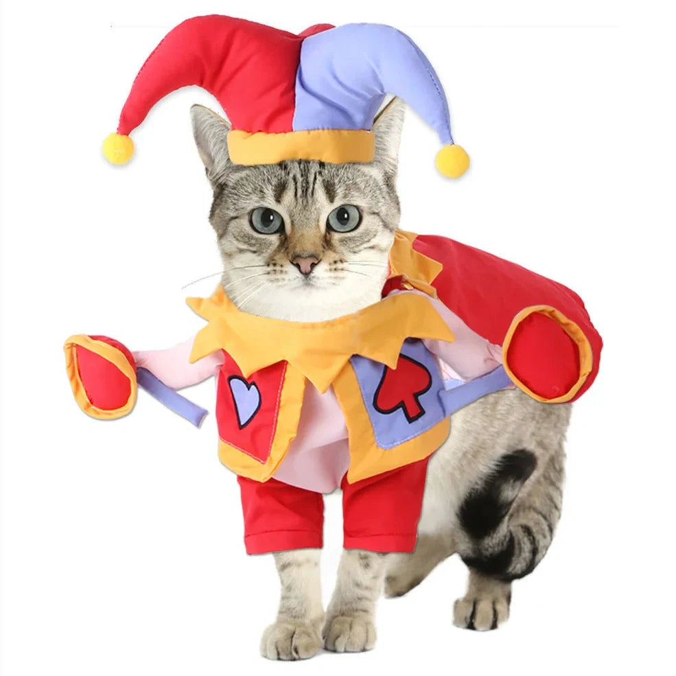 Pet wearing cartoon cowboy costume with knight-style design and matching hat, showing multiple colour options