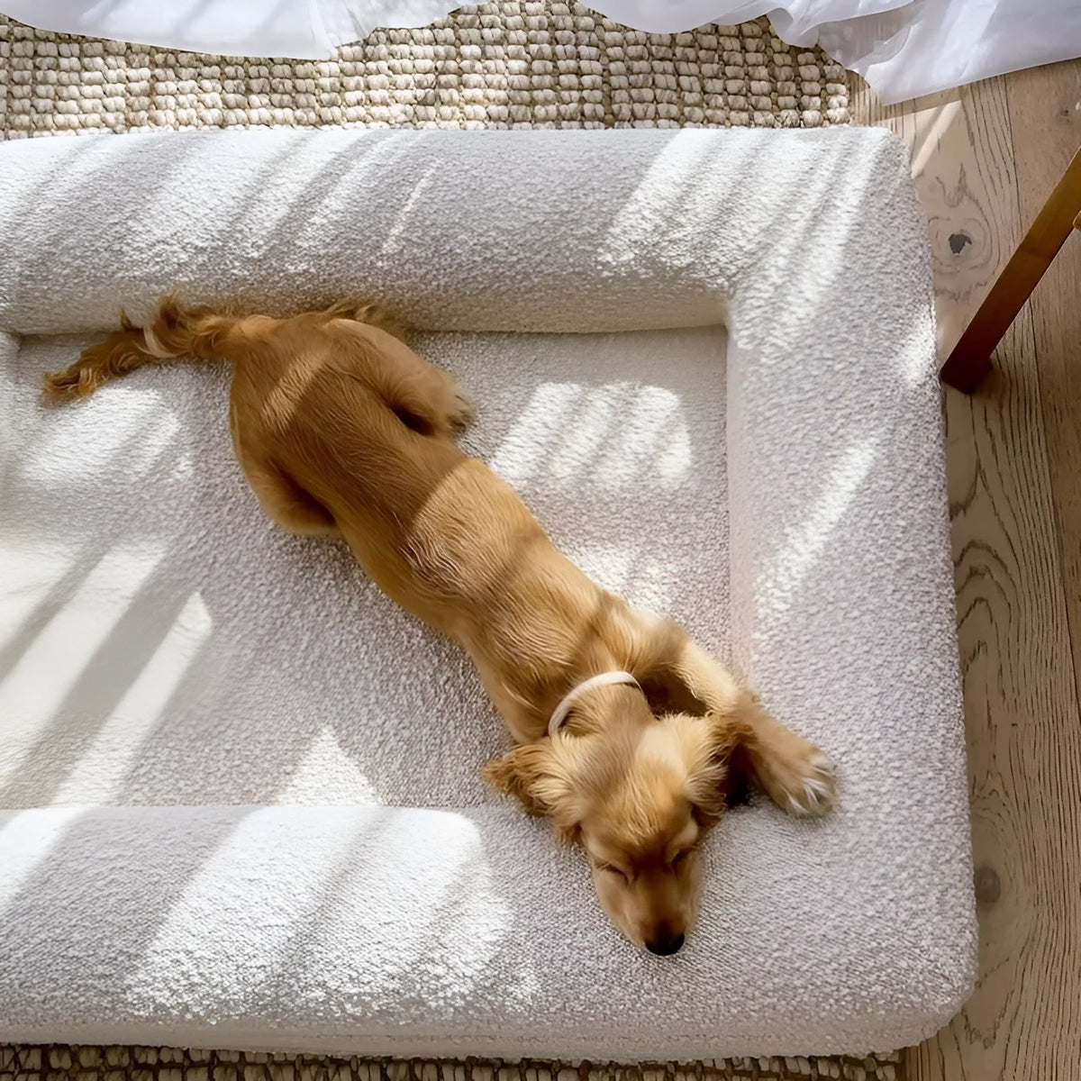 Beige rectangular cloth dog bed sofa nest with raised sides showing four size options