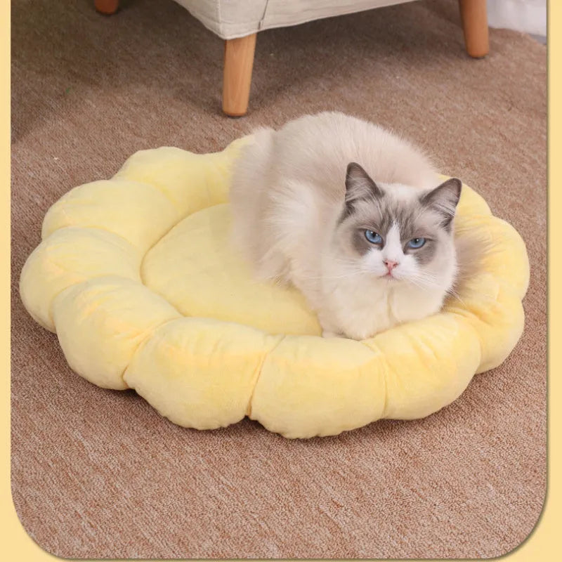 Blue half-surrounded square plush pet bed for dogs and cats on a wooden floor