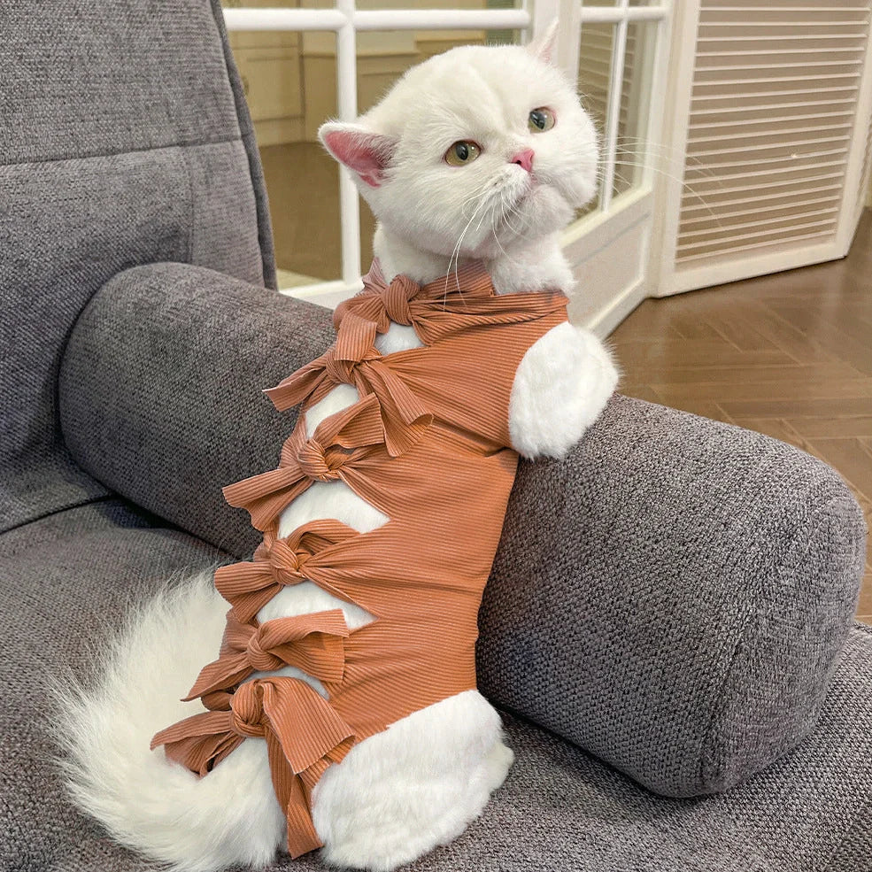 Lace-up cat sterilisation clothing in blue colour on cat showing adjustable back fastening and full-body coverage