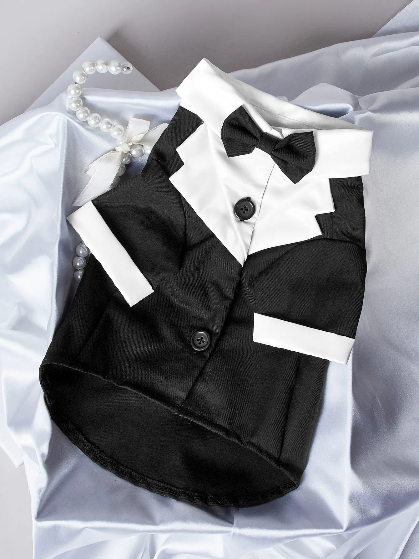 A dog wearing a black Chinese-style gentleman four-legged suit for weddings.