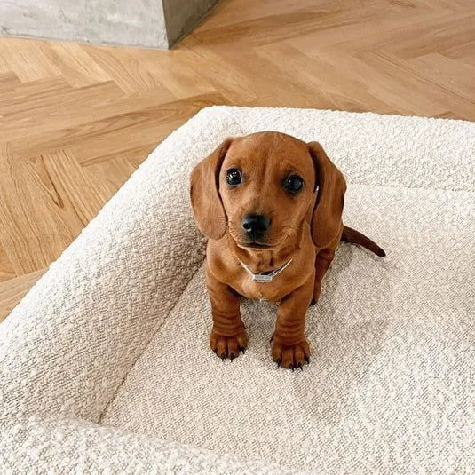 Beige rectangular cloth dog bed sofa nest with raised sides showing four size options