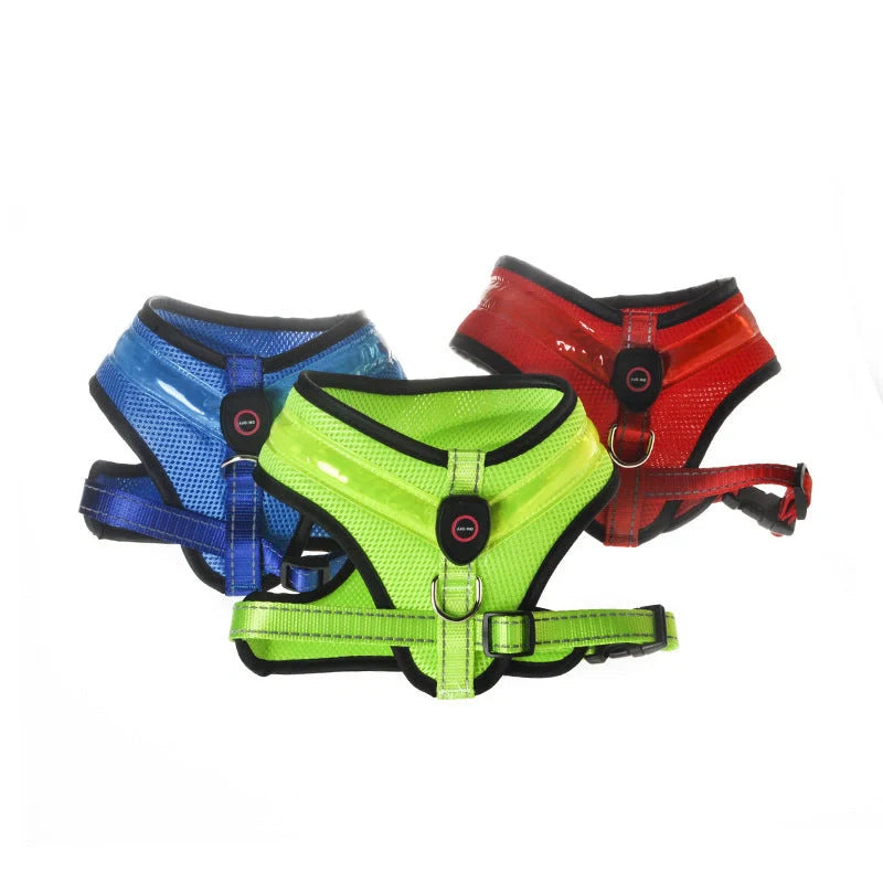 USB rechargeable LED dog harness in blue, red, or green with reflective safety features