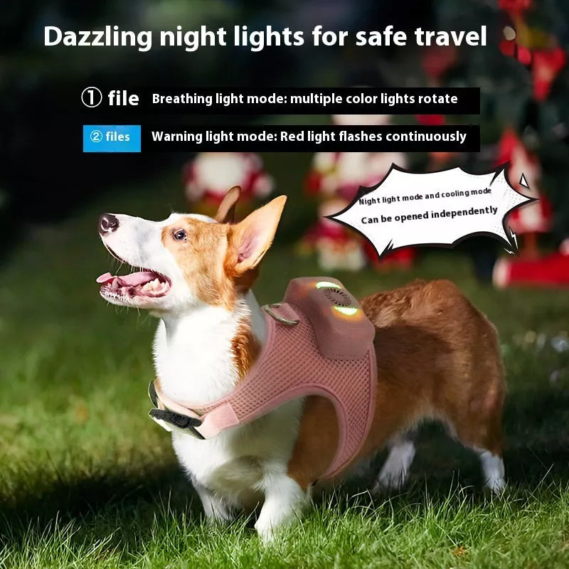 Small dog wearing mint green cooling vest harness with air conditioner