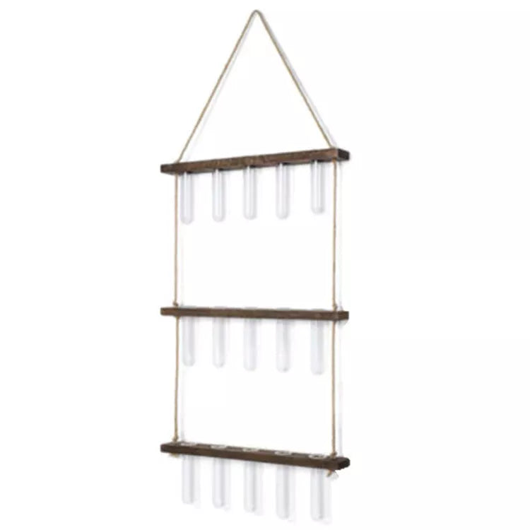 Creative Hydroponics Wall Hanging Vase with test tubes for vertical gardening