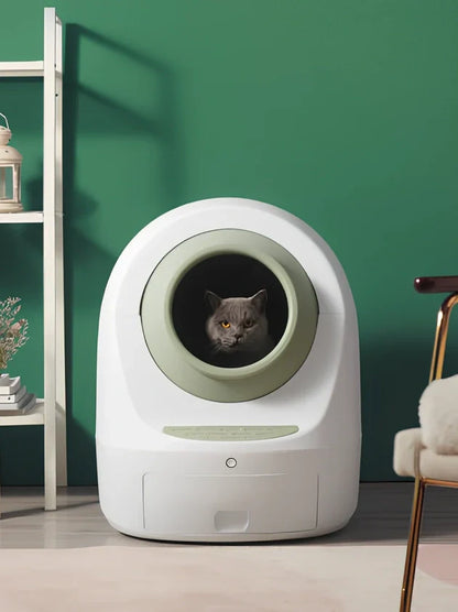 Electric smart cat litter box with WiFi connectivity in blue colour with enclosed design