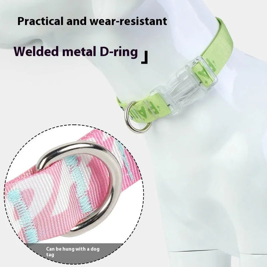 Adjustable nylon dog collar with cartoon gradient printing in gradient colour, suitable for dogs 2.00kg to 10.00kg