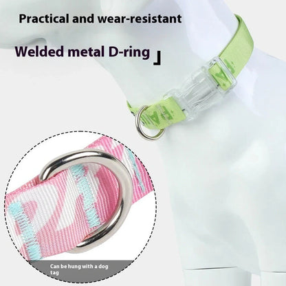 Adjustable nylon dog collar with cartoon gradient colour printing for dogs 2-10kg