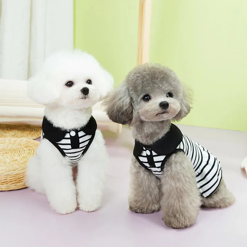 Striped cotton T-shirt and matching skirt for dogs in summer pet clothing set