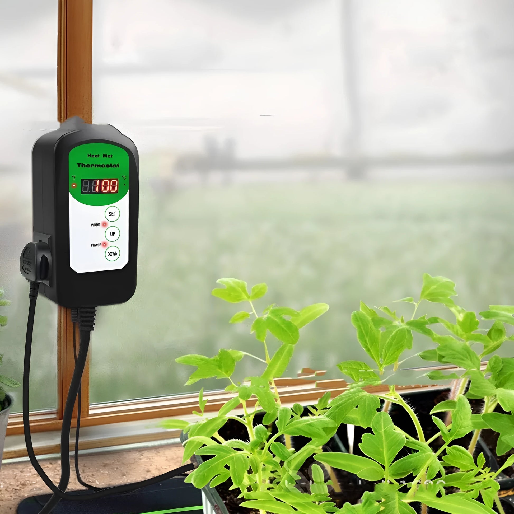 BH1912020 digital temperature humidity controller with LCD display showing readings