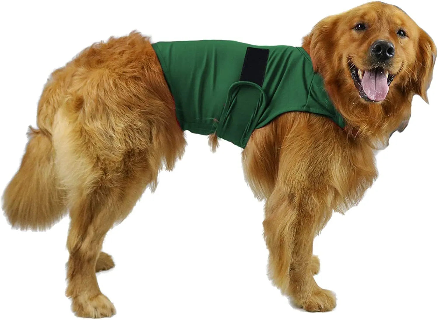 Dog wearing brocade cotton tank top for anxiety relief in brown colour