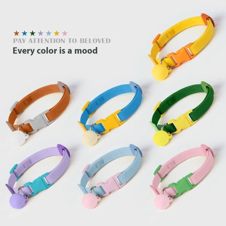 High elasticity polyester pet collar for small dogs in seven colours with 22-32cm adjustable range