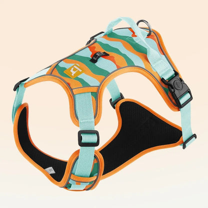 Orange dog harness with reflective strips and hand holding rope on a grassy background