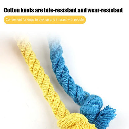 Blue and yellow elastic football dog toy with an attached cotton rope for tug of war and chewing.