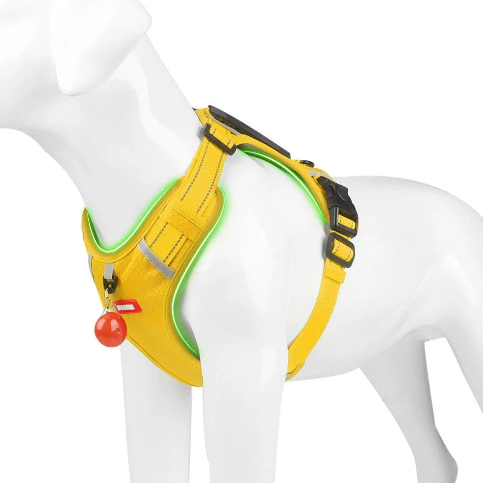 Reflective pet chest strap in multiple colours with adjustable sizing for dog walking safety