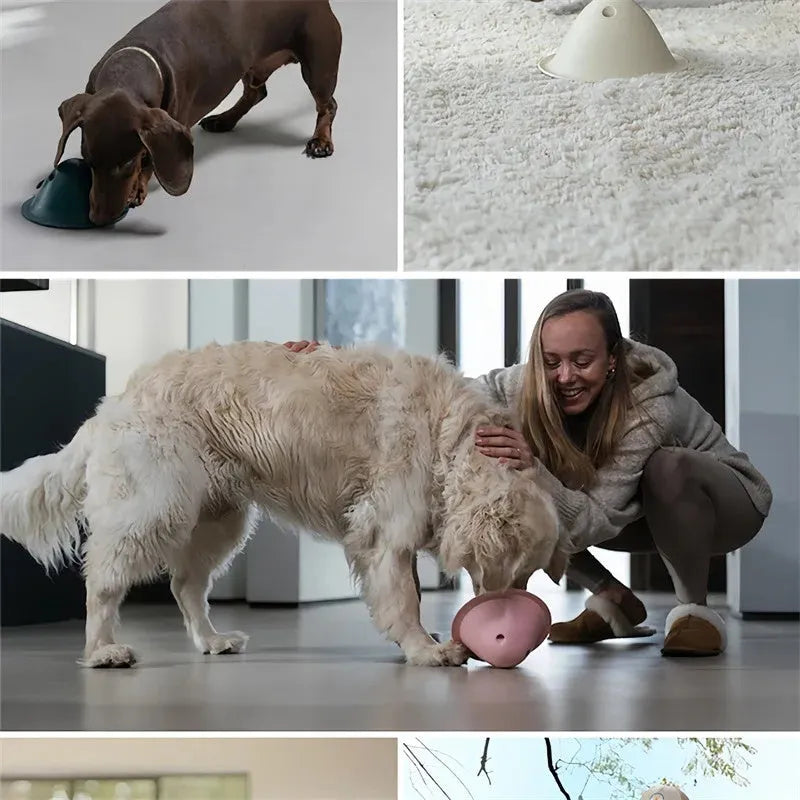 Green interactive dog chew puzzle toy with hidden treat slots on a flat base.