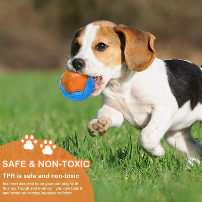 Three dog toys: blue ball, red barbell, and orange tire with bumpy textures for floating fetch games