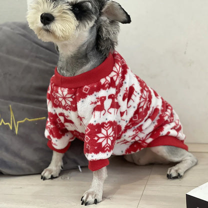 Winter warm padded dog sweater in Christmas red, sizes S to XL
