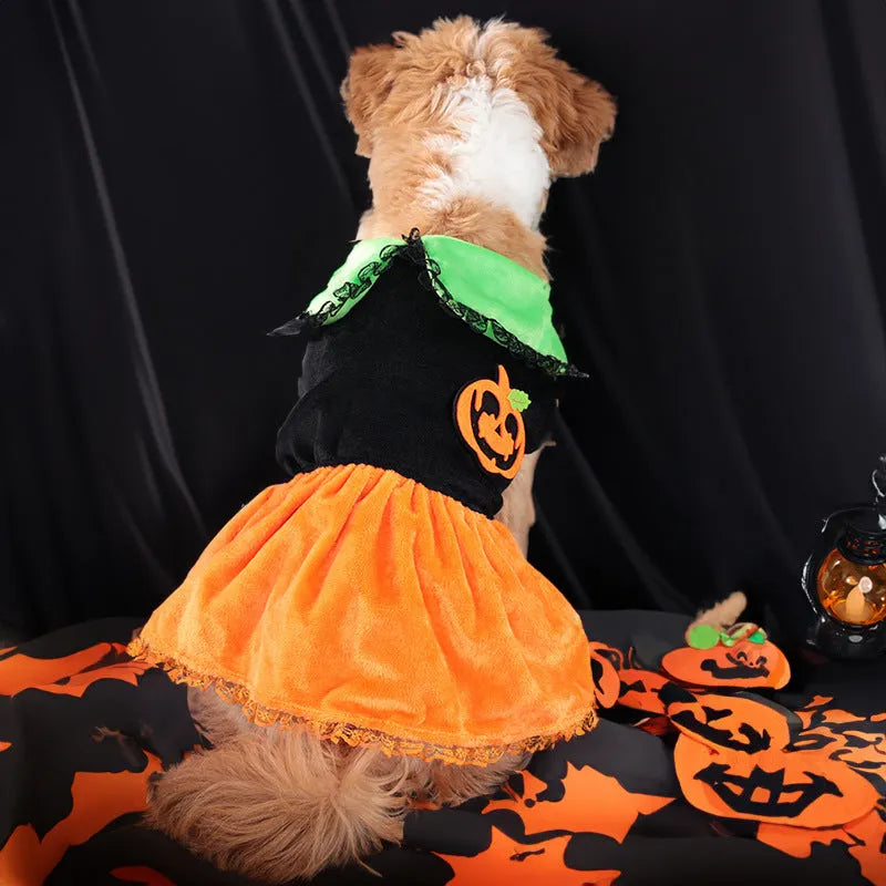 Halloween pet costume: orange pumpkin skirt and black Halloween sweater for small dogs and cats on a mannequin.