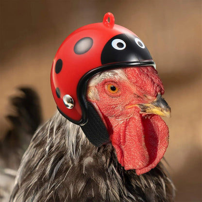 Small adjustable pet helmet for chickens and birds with sponge lining in various costume designs